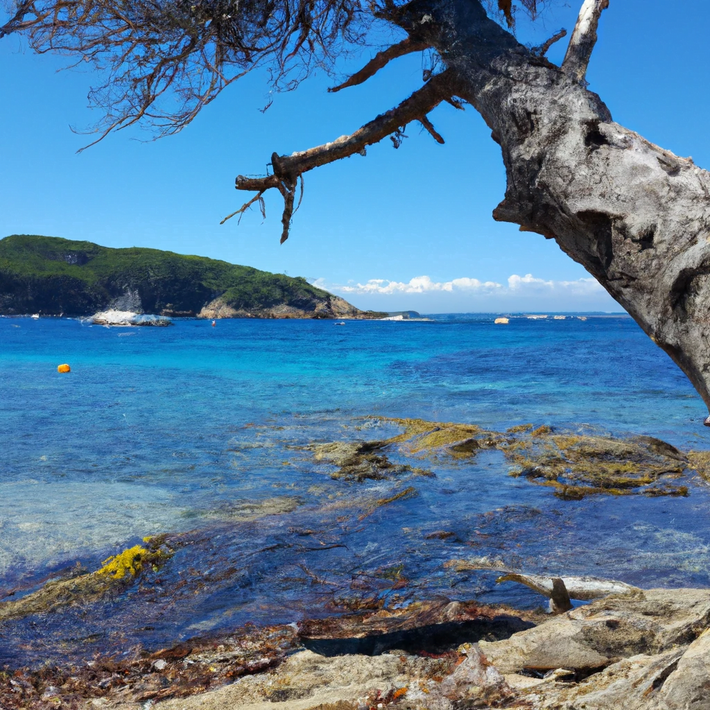 belle plage provence