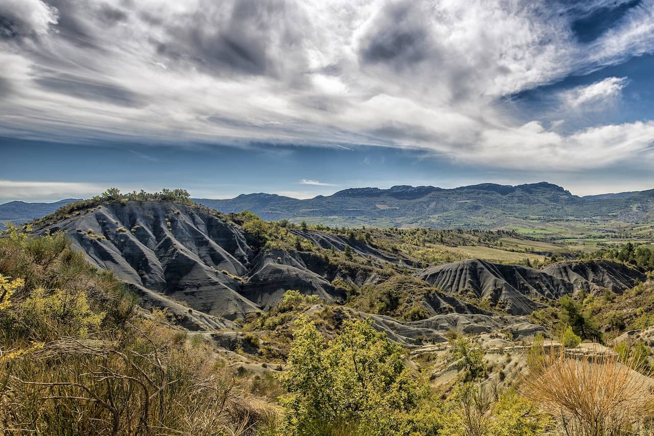 provence verte